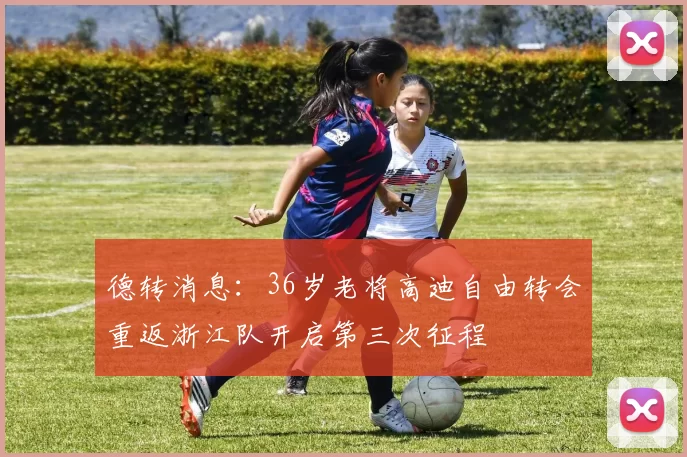 德转消息：36岁老将高迪自由转会重返浙江队开启第三次征程