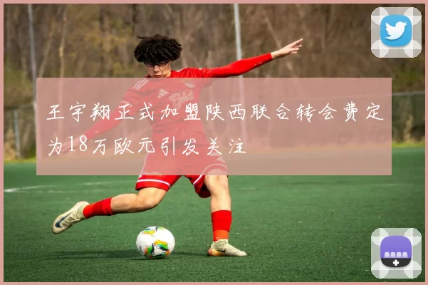 王宇翔正式加盟陕西联合转会费定为18万欧元引发关注